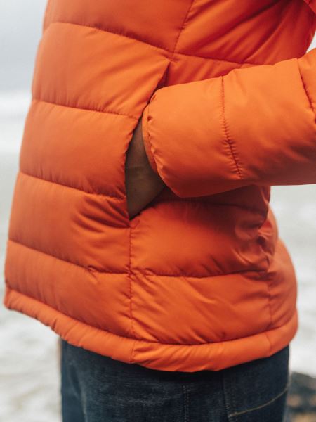 Nebulosor Isolerad Jacka Finisterre Tigerlily